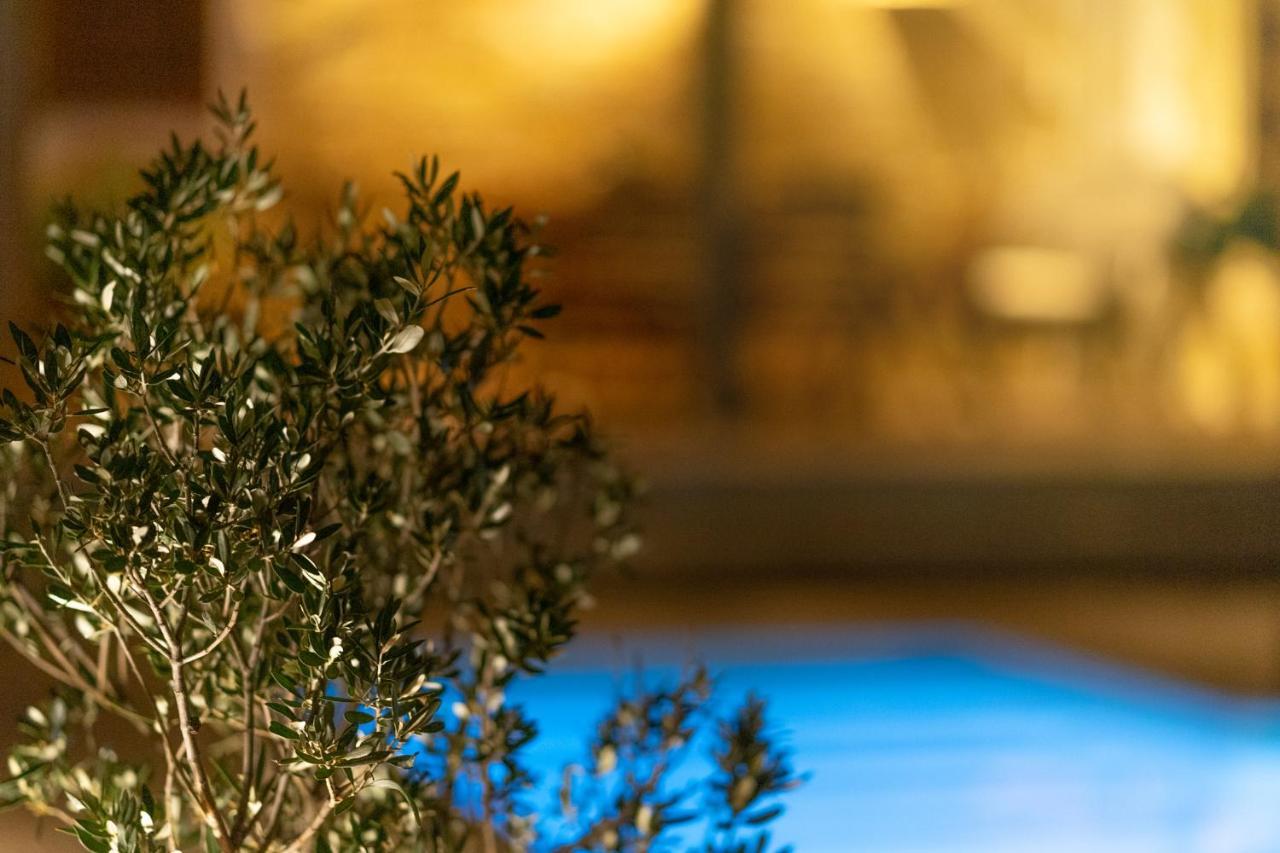 Villa Kalliopi Ιncreteble Cretan Resindences Collection เซรอกัมโบส ภายนอก รูปภาพ