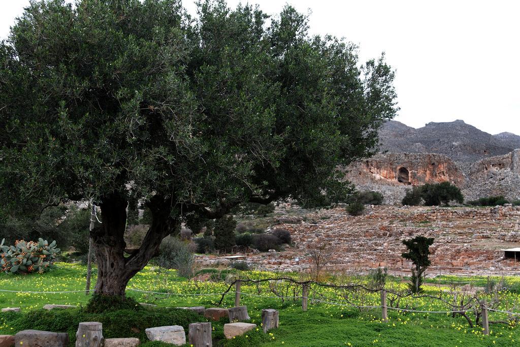 Villa Kalliopi Ιncreteble Cretan Resindences Collection เซรอกัมโบส ภายนอก รูปภาพ