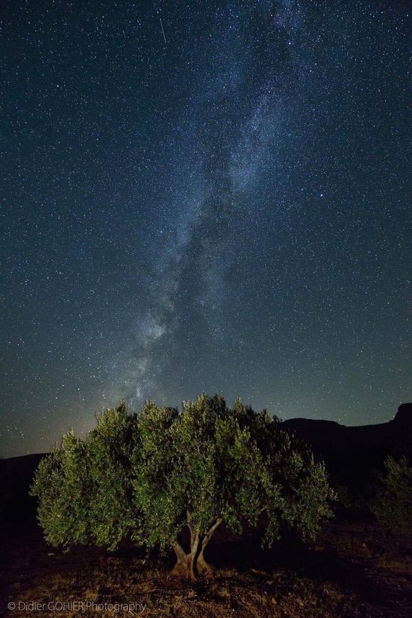 Villa Kalliopi Ιncreteble Cretan Resindences Collection เซรอกัมโบส ภายนอก รูปภาพ