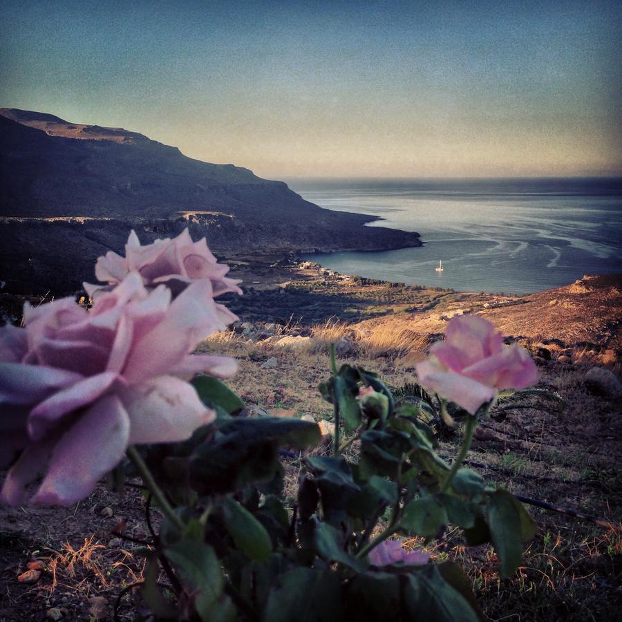 Villa Kalliopi Ιncreteble Cretan Resindences Collection เซรอกัมโบส ภายนอก รูปภาพ