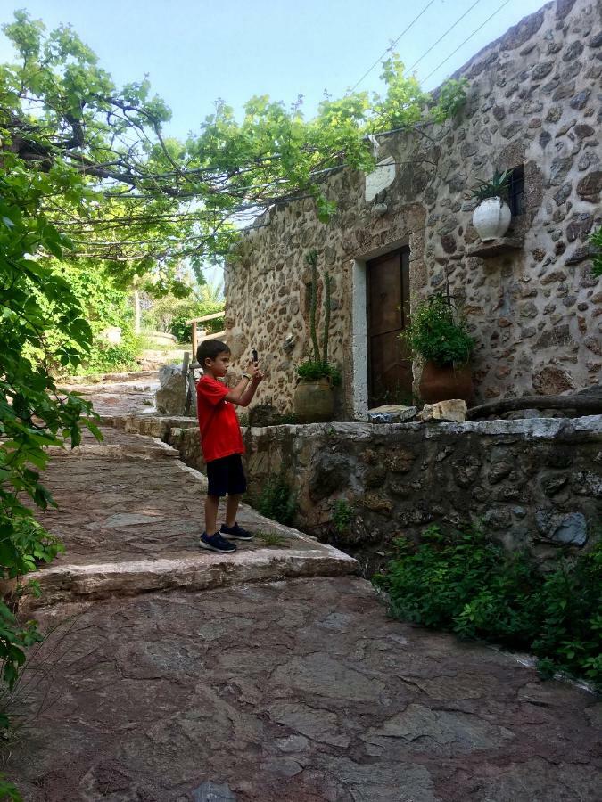 Villa Kalliopi Ιncreteble Cretan Resindences Collection เซรอกัมโบส ภายนอก รูปภาพ