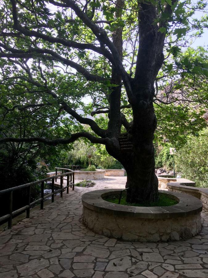 Villa Kalliopi Ιncreteble Cretan Resindences Collection เซรอกัมโบส ภายนอก รูปภาพ